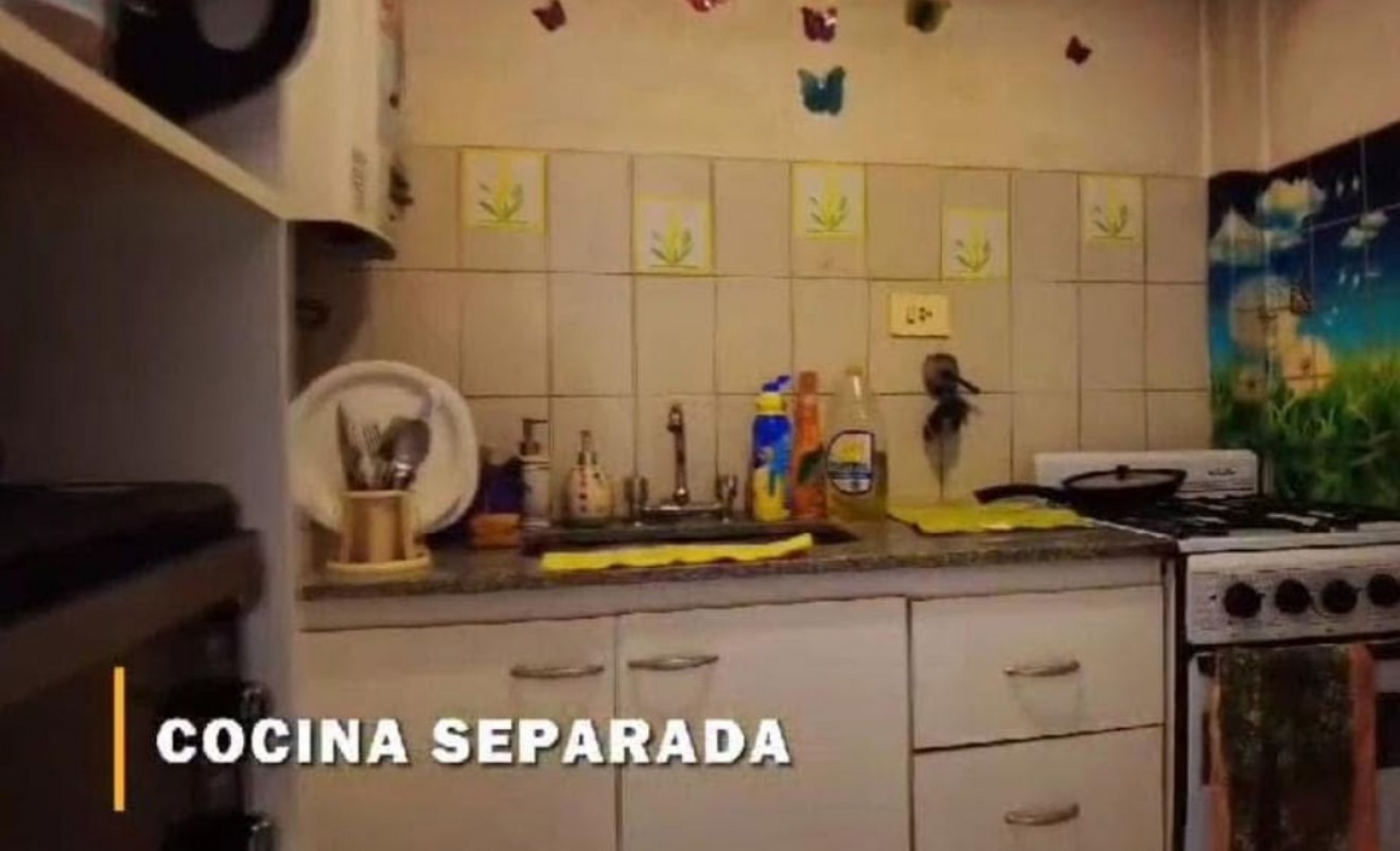 Dpto de 1 dormitorio barrio Sur