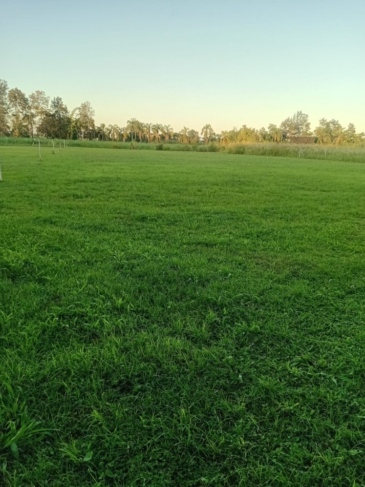 Terreno en San Andres - 2.262 m2