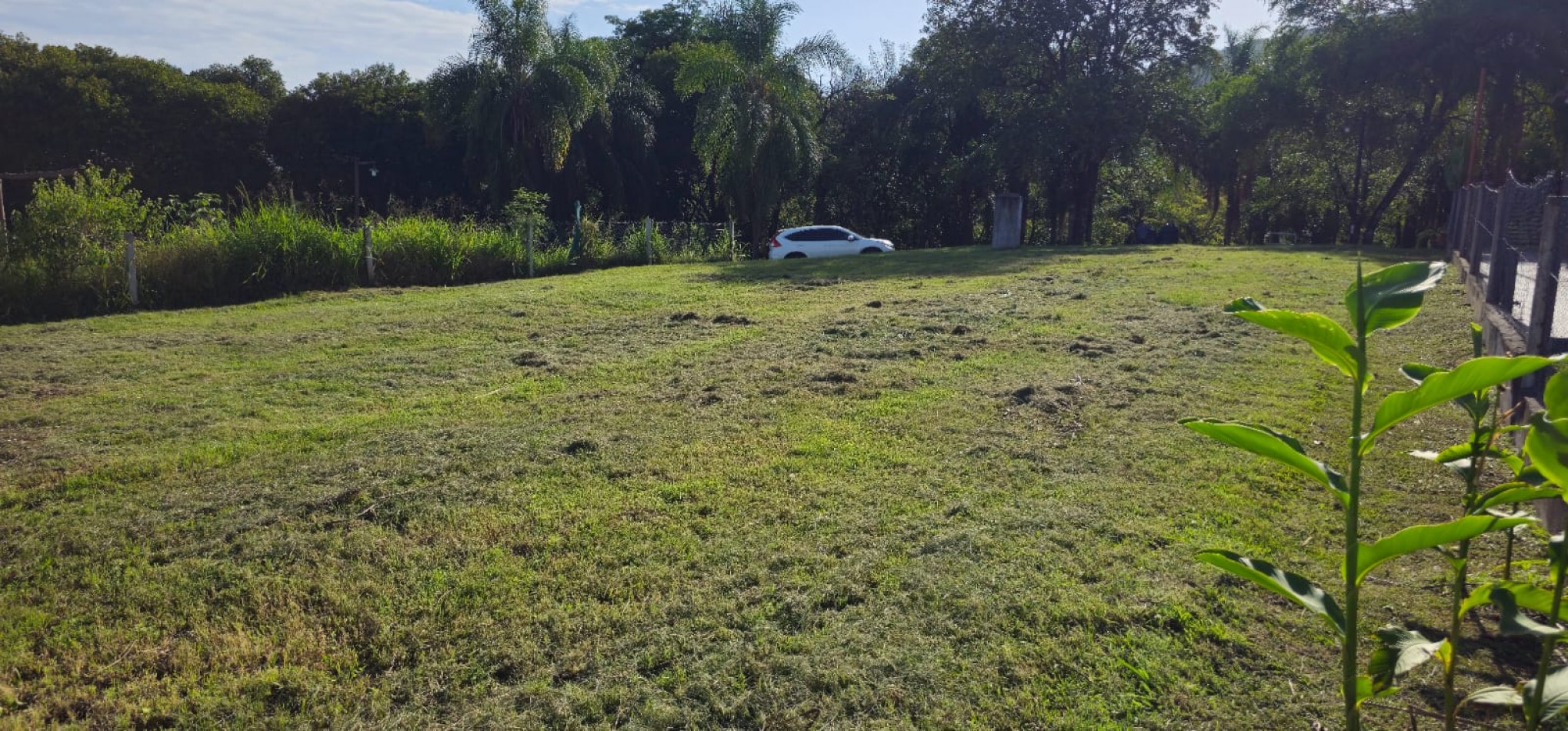 TERRENO EN COUNTRY LA ARBOLEDA