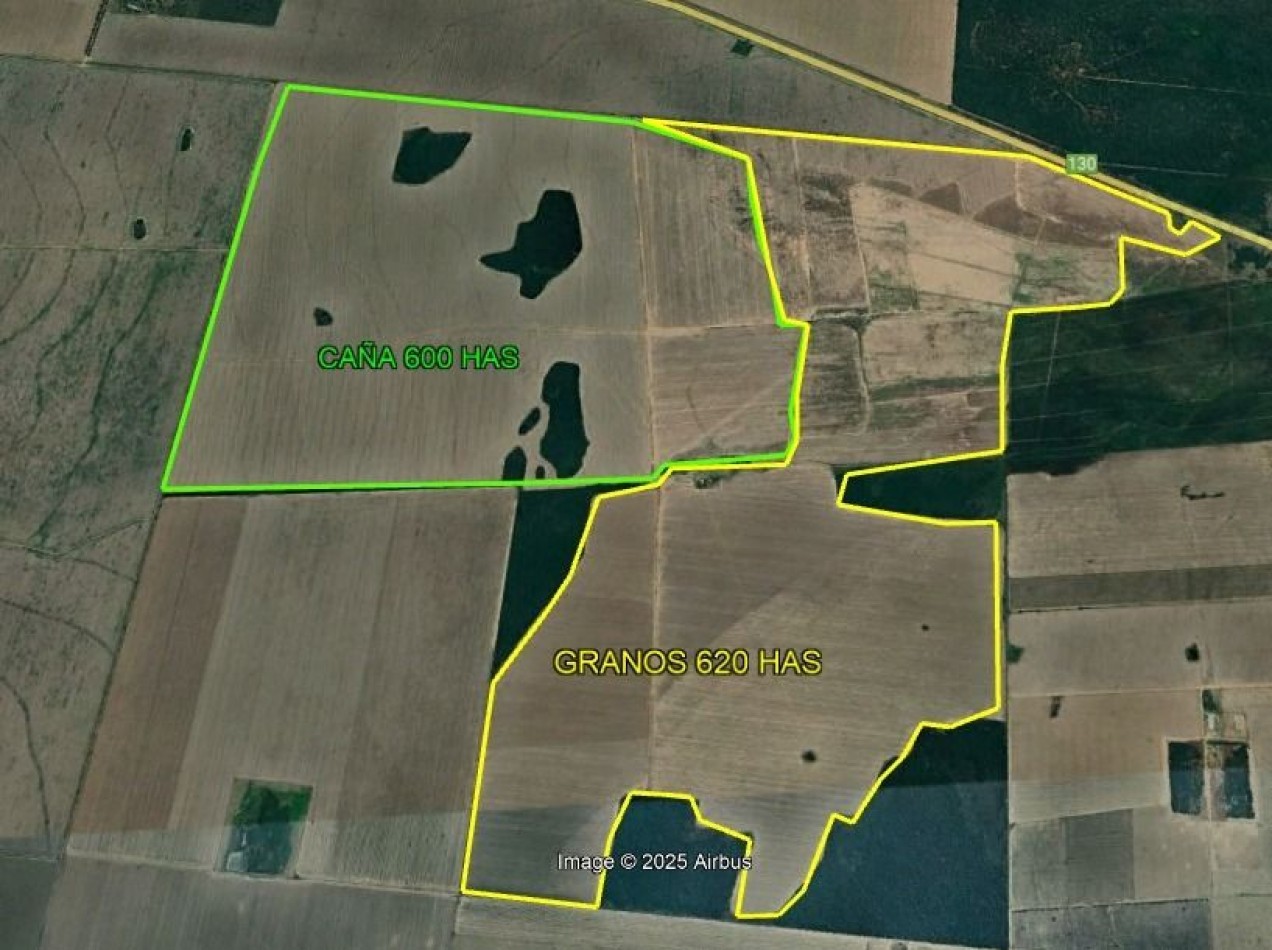1450 HECTAREAS EN SANTIAGO DEL ESTERO 