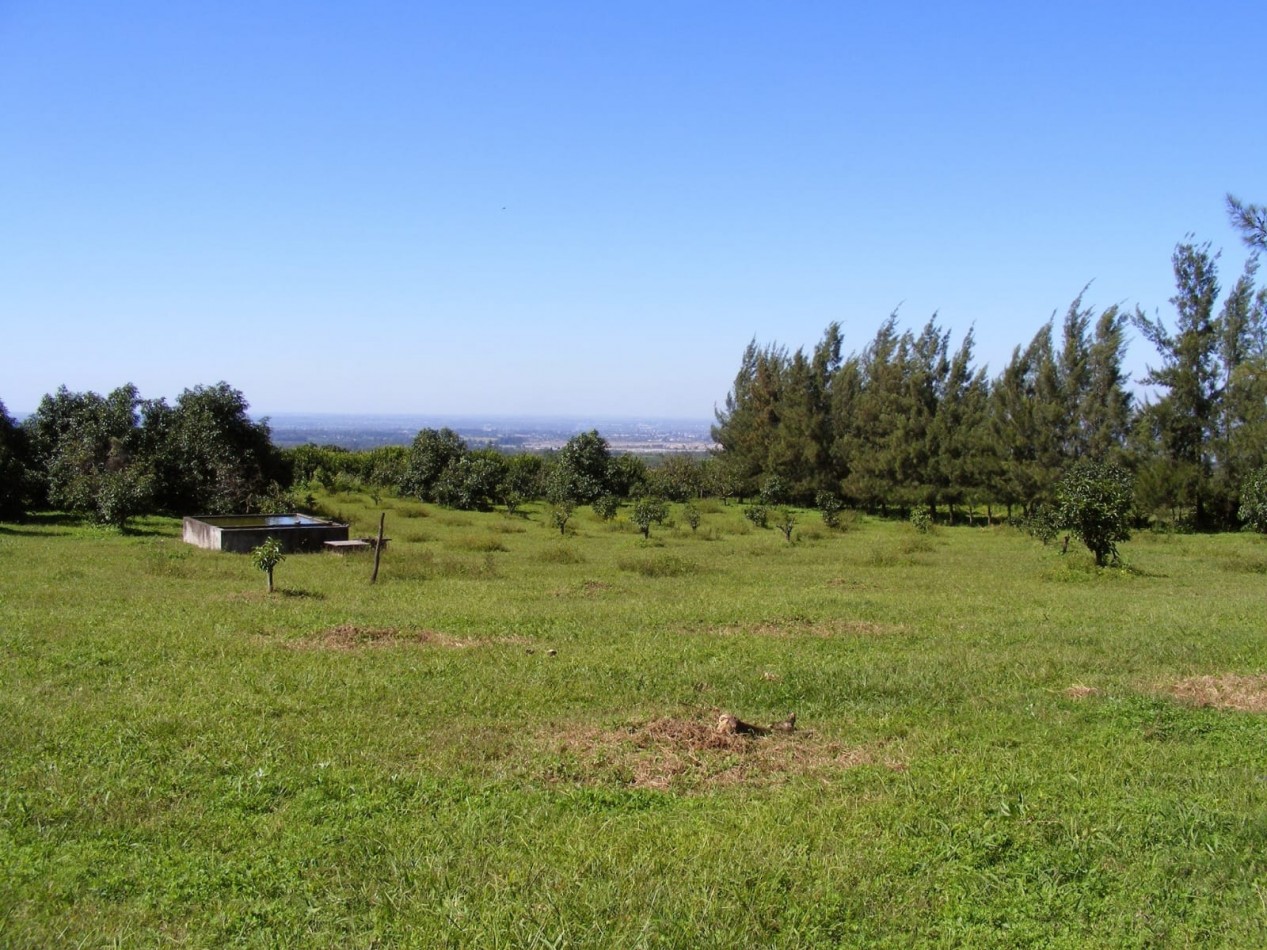 TERRENOS PRODUCTIVOS EN TAFI VIEJO - 2.4 HECTAREAS