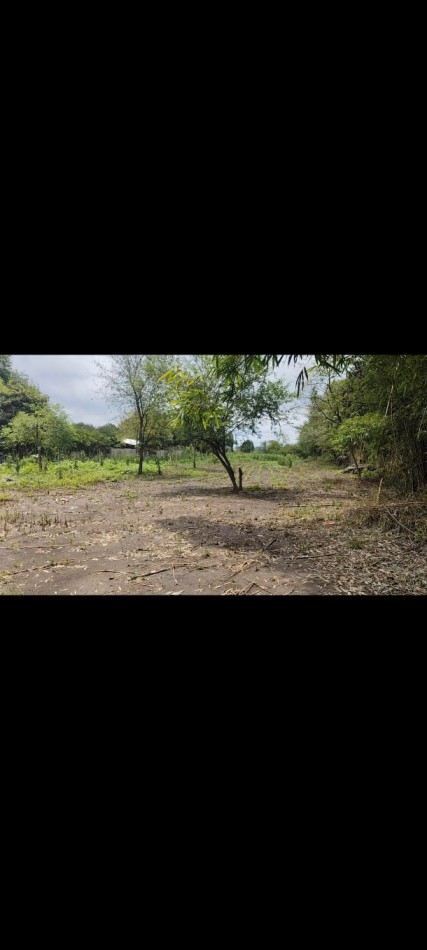 15.000 m2 en venta - Tafi viejo 