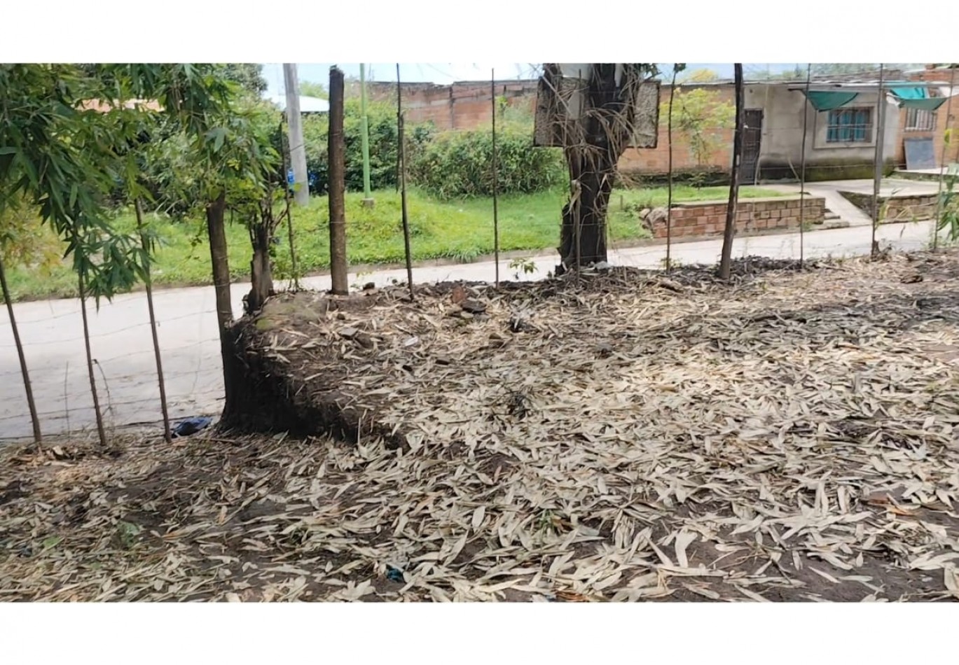 15.000 m2 en venta - Tafi viejo 