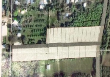 15.000 m2 en venta - Tafi viejo 